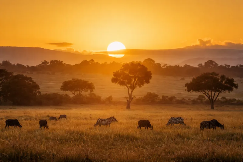Maasai Mara lions and plains — classic 4-day Kenya safari from Nairobi