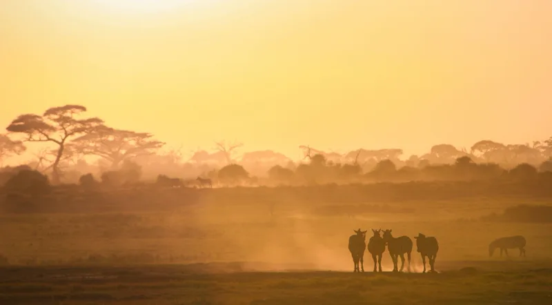 Tsavo West volcanic landscapes and Mzima Springs — Kenya safari park